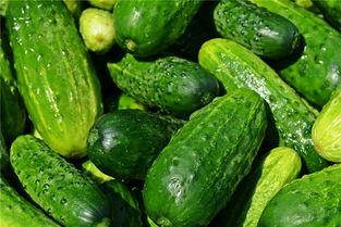 梦见吃少瓜,揭秘“吃少瓜”背后的寓意与启示