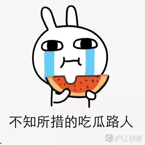 吃瓜呢日语,揭秘日本流行文化中的“瓜田效应”