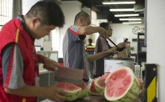 吃瓜的快递小哥,揭秘快递行业的酸甜苦辣