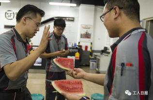 吃瓜的快递小哥,揭秘快递行业的酸甜苦辣