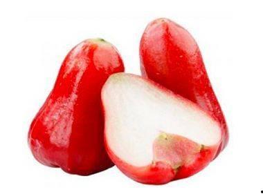 莲雾吃瓜地址,探寻吃瓜新风尚