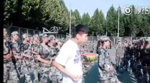 军训吃瓜网,揭秘军训那些事儿,轻松一笑间