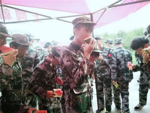 军训吃瓜网,揭秘军训那些事儿,轻松一笑间