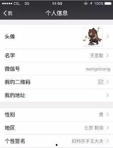 吃瓜群微信名称,一场微信名称背后的社交狂欢