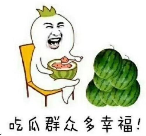 回字瓜怎么吃,解锁美味新境界