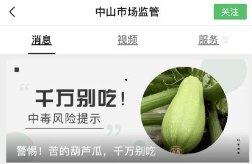 抖音吃葫芦瓜,葫芦瓜的独特风味大揭秘