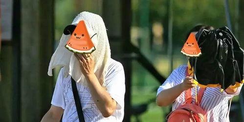 凭自己本事吃的瓜,揭秘娱乐圈幕后真相