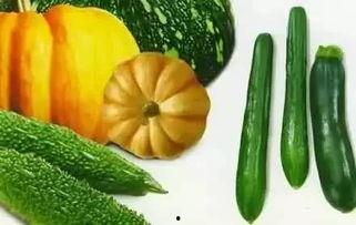 黄金玉瓜怎么吃,解锁美味新体验