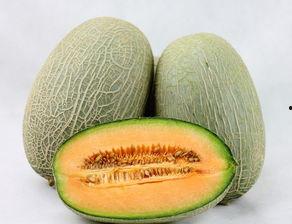 月饼哈密瓜同时吃,传统与现代的味蕾交响