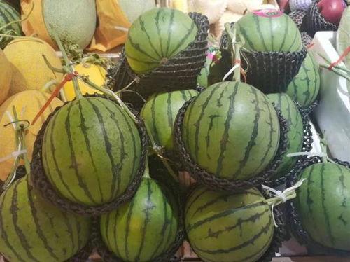 小蜜吃瓜,揭秘娱乐圈那些不为人知的幕后故事