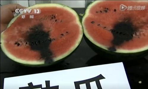 吃瓜视频卖钱,揭秘网络红人如何通过“瓜”赚钱的秘密