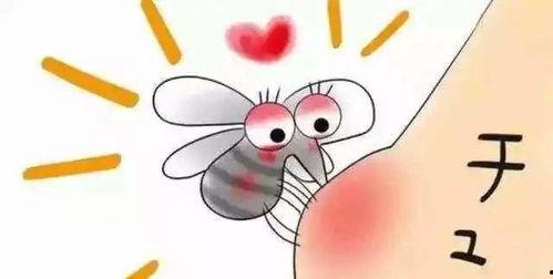 顾蚊子吃瓜,揭秘娱乐圈背后的秘密