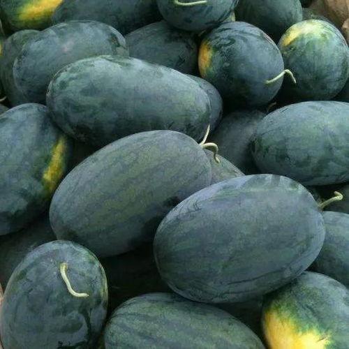 探黑pro吃瓜,吃瓜群众的狂欢盛宴