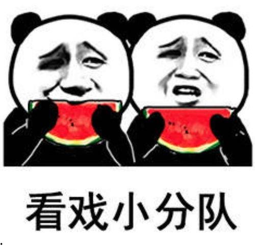 吃瓜手作圈,创意无限，瓜香四溢